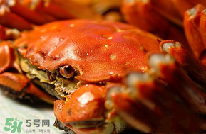 三月份吃什么螃蟹？3月份吃什么螃蟹？