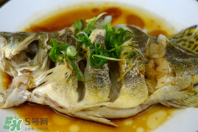 三月份吃什么魚？3月份吃什么魚好？
