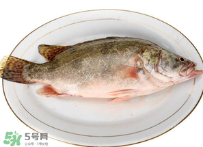 三月份吃什么魚？3月份吃什么魚好？