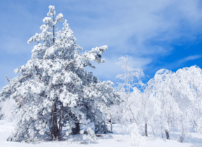 三月份還會下雪嗎？哈爾濱三月份還有雪嗎？