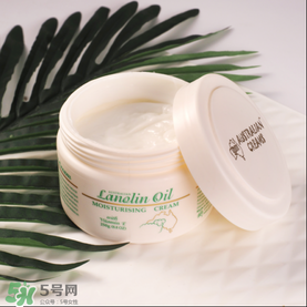 澳芝曼綿羊油好用嗎 gm綿羊油好用嗎 澳芝曼綿羊油好用嗎 gm綿羊油好用嗎