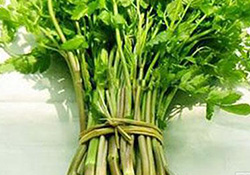 孕婦可以吃野芹菜嗎？孕婦吃野芹菜有什么好處？