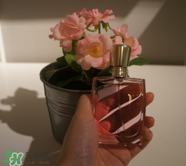 蘭蔻和迪奧香水哪個好？蘭蔻和迪奧香水推薦