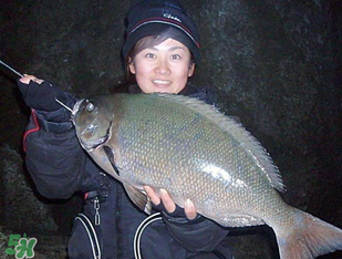 3月份釣魚用什么餌料？三月份釣魚用什么魚餌？