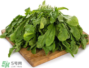 薺菜葉子黃了能吃嗎？薺菜發(fā)黃能吃嗎？