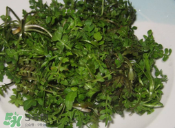 薺菜怎么洗？薺菜怎么洗才干凈？