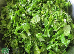 薺菜怎么洗？薺菜怎么洗才干凈？