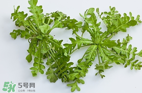 薺菜是什么菜？薺菜是什么野菜？