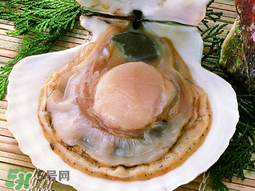 薺菜和扇貝可以一起吃嗎？薺菜扇貝湯的做法