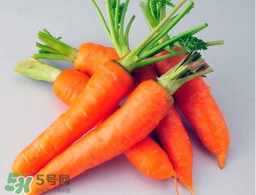 薺菜能和胡蘿卜一起吃嗎？薺菜可以和胡蘿卜一起吃嗎？