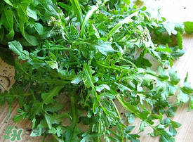薺菜上有白點(diǎn)能吃嗎？薺菜背面有白點(diǎn)是什么？
