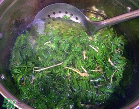 薺菜怎么焯水？薺菜焯水多久？