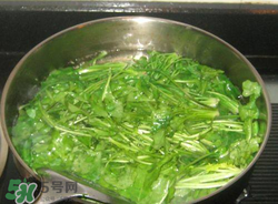 薺菜焯水后冷凍好嗎？薺菜焯水后能放多久？