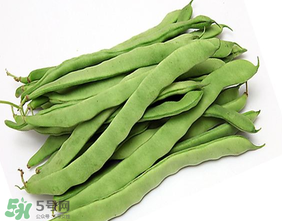 三月份可以種豆角嗎？豆角幾月份種？