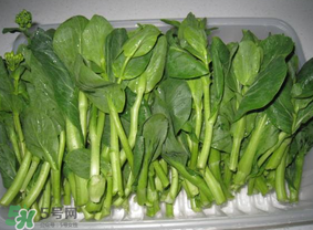 青菜苔可以吃嗎？青菜苔怎么做好吃？