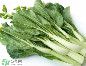 青菜苔可以吃嗎？青菜苔怎么做好吃？
