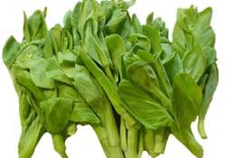 青菜苔可以吃嗎？青菜苔怎么做好吃？