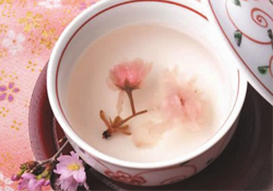 桃花酒孕婦可以喝嗎？懷孕了能喝桃花酒嗎？