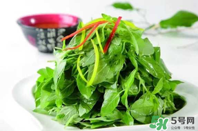 薺菜不能和什么一起吃？薺菜和什么相克？