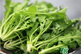 薺菜不能和什么一起吃？薺菜和什么相克？