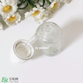 cnp蝸牛原液安瓶精華怎么樣?cnp蝸牛原液安瓶精華好用嗎? cnp蝸牛原液安瓶精華怎么樣?cnp蝸牛原液安瓶精華好用嗎?