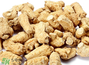春天可以吃西洋參嗎？春天適合吃西洋參嗎？