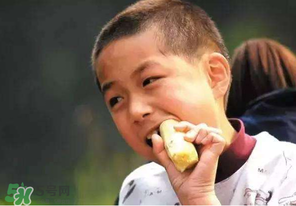 春天能吃甘蔗嗎？春天吃甘蔗有什么好處？