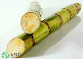 春天能吃甘蔗嗎？春天吃甘蔗有什么好處？