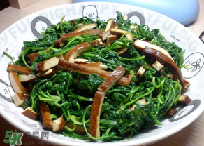 薺菜吃多了會(huì)中毒嗎？吃薺菜中毒怎么辦？