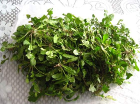 野生薺菜幾月份有？野生薺菜什么時候有？