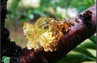吃什么對(duì)皮膚好？怎么吃皮膚好？