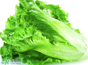 春天能種生菜嗎？生菜春天可以種嗎？