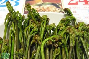 蕨菜為什么苦？蕨菜苦是怎么回事？