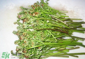 蕨菜怎么去苦味？蕨菜怎么做不苦？