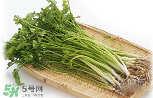 吃野芹菜會(huì)中毒嗎？吃野芹菜中毒了怎么辦？