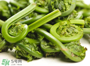 蕨菜怎么洗？蕨菜怎么清洗才干凈？