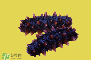 春天能吃海參嗎？春天吃海參效果好嗎？
