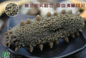 春天能吃海參嗎？春天吃海參效果好嗎？