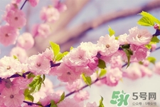 春天容易得水痘嗎？春天是水痘的高發(fā)季節(jié)嗎？