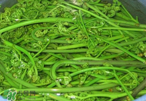 蕨菜怎么洗？蕨菜怎么清洗才干凈？