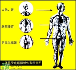 防輻射服什么時(shí)候開始穿？防輻射服真的有用嗎？