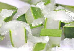 出水痘能用蘆薈膠嗎？水痘破了能擦蘆薈膠嗎？