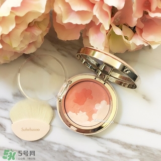 雪花秀花瓣腮紅多少錢(qián)？雪花秀花瓣腮紅專(zhuān)柜價(jià)格