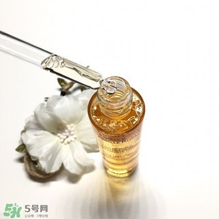 嬌蘭黃金蜜原蜜怎么用？嬌蘭黃金蜜原蜜使用方法