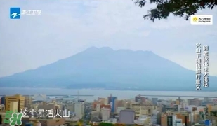明治膠原蛋白粉怎么吃？明治膠原蛋白粉用法用量