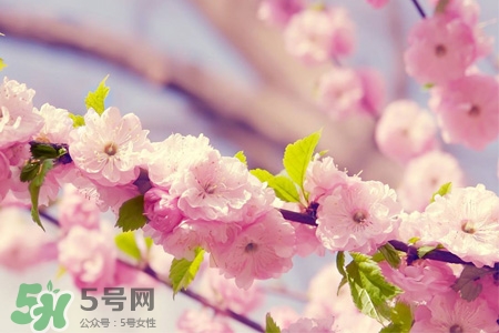 春分可以回娘家嗎？春分能在娘家過夜嗎？
