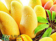 什么人不能吃芒果？哪些人不能吃芒果？