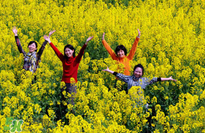四月份還有油菜花嗎？4月份還有油菜花嗎？