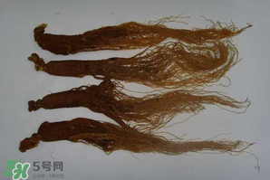 紅參可以天天吃嗎？紅參的功效與作用