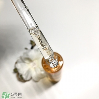 嬌蘭黃金蜜原蜜怎么用？嬌蘭黃金蜜原蜜使用方法